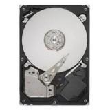 Seagate ST31000524AS -  1